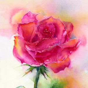 Red Rose Flower Card