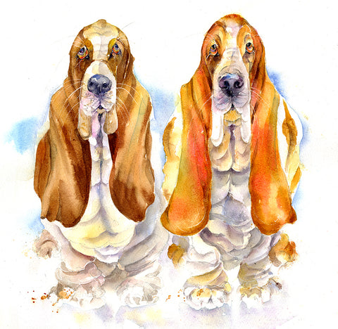 Bassett Hounds  Dog Print