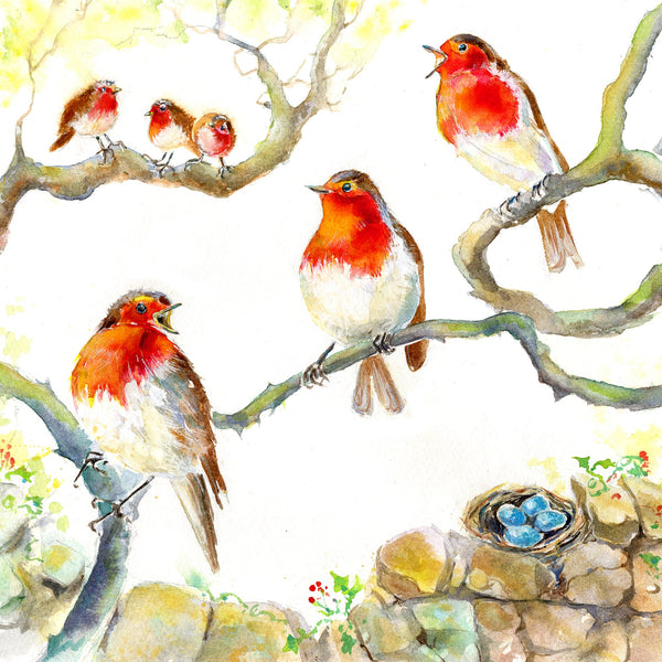 Robin Bird Greeting Cards