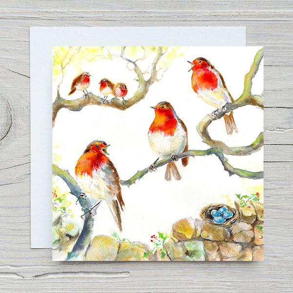 Robin Bird Greeting Cards with Envelope