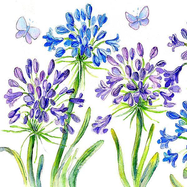 Agapanthus Flower Card-Sheila Gill Fine Art