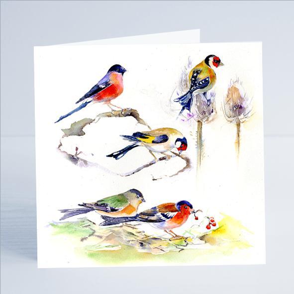 Bird - Finches - Card-Sheila Gill Fine Art