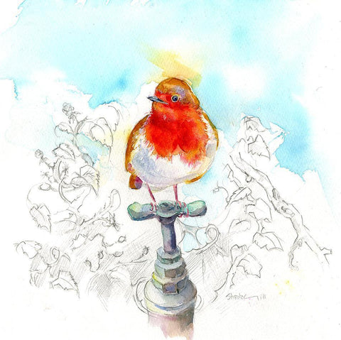 Robin Bird Card-Sheila Gill Fine Art