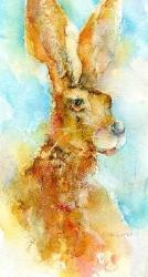 Brown Hare  Print