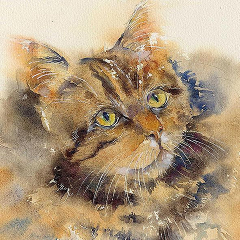 Tabby Cat  Print