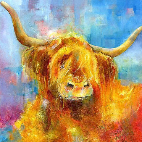 Angus Highland Cow Print