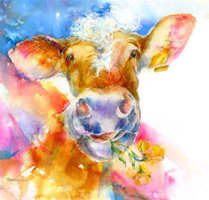 Cow Buttercup  Print