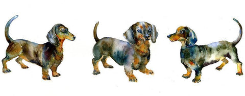 Dachshund Dog Card-Sheila Gill Fine Art