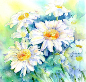 Daisy Flower Card-Sheila Gill Fine Art