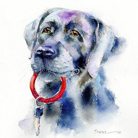 Black Labrador Dog Card-Sheila Gill Fine Art