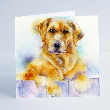 Golden Labrador Dog Card-Sheila Gill Fine Art