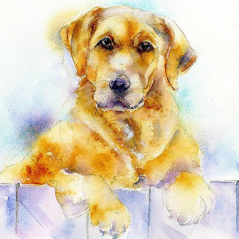 Golden Labrador Dog Card-Sheila Gill Fine Art