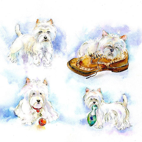 West Highland White Dog Card-Sheila Gill Fine Art
