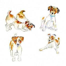 Jack Russel Dog Card.-Sheila Gill Fine Art
