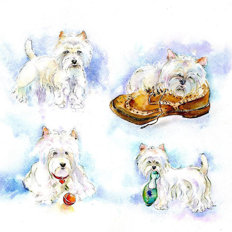 Highland Westie Dog  Print