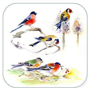 Finches, Bird - Coaster
