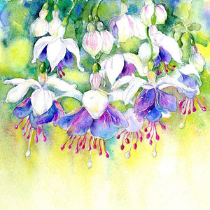Fuschia Flower Card-Sheila Gill Fine Art