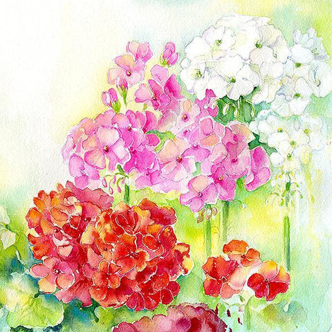 Geraniums Flower Card-Sheila Gill Fine Art