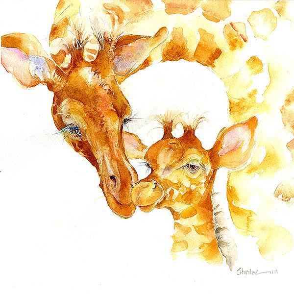 Giraffe Card-Sheila Gill Fine Art