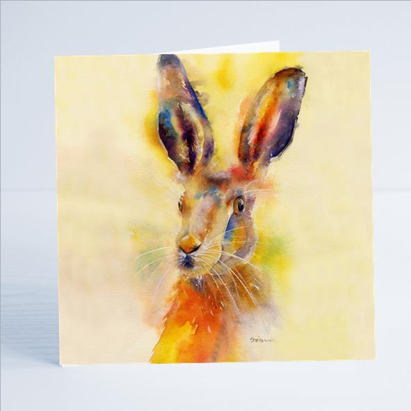 Hare - Card-Sheila Gill Fine Art