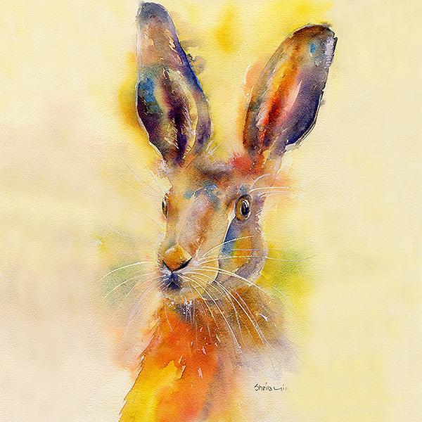 Hare - Card-Sheila Gill Fine Art