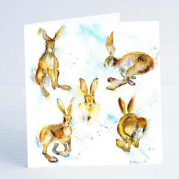Hares Card-Sheila Gill Fine Art
