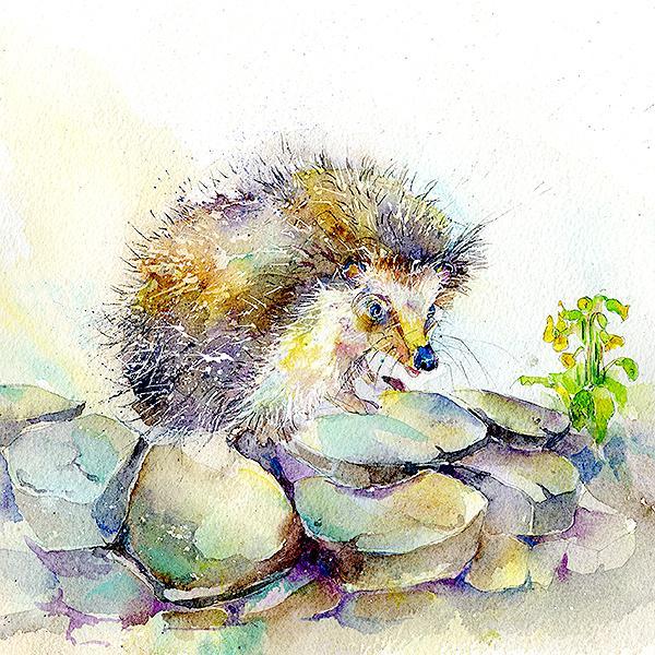 Hedgehog Card-Sheila Gill Fine Art