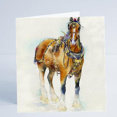 Horse - Card-Sheila Gill Fine Art