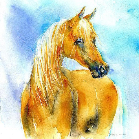 Horse - Free Spirit - Card-Sheila Gill Fine Art