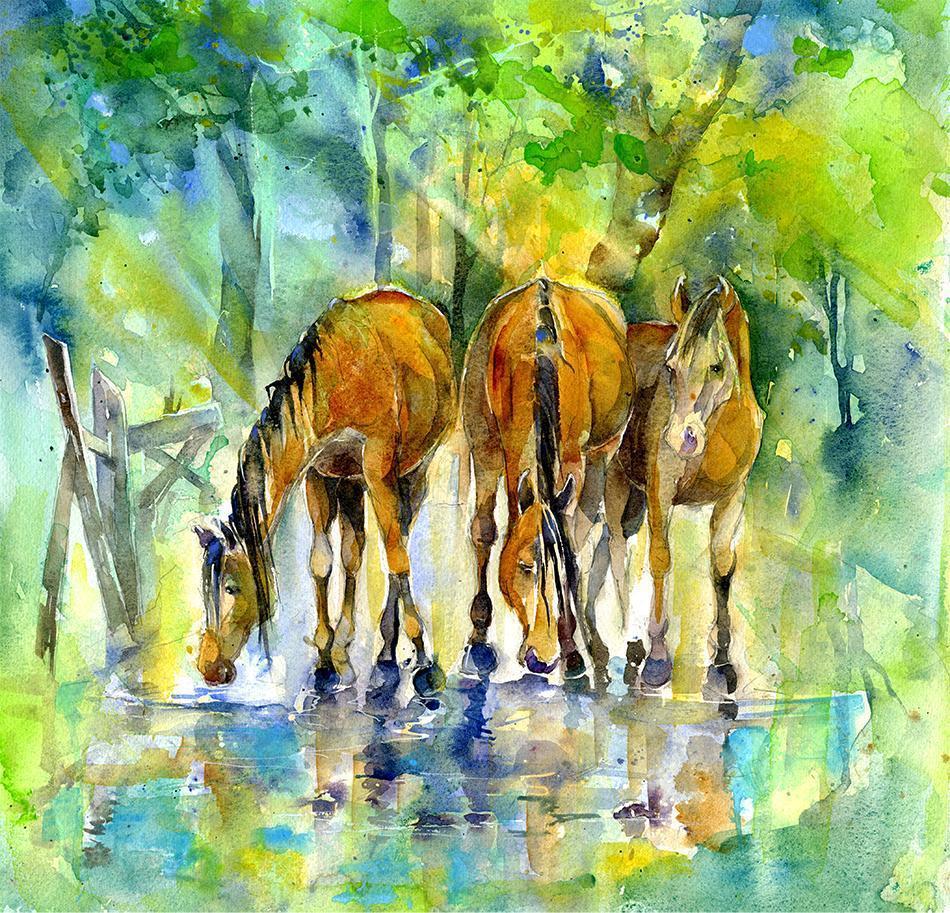 New Forest Ponies Horse  Print