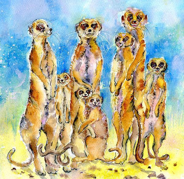 Meerkat Card-Sheila Gill Fine Art