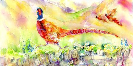 Pheasant Bird Card-Sheila Gill Fine Art