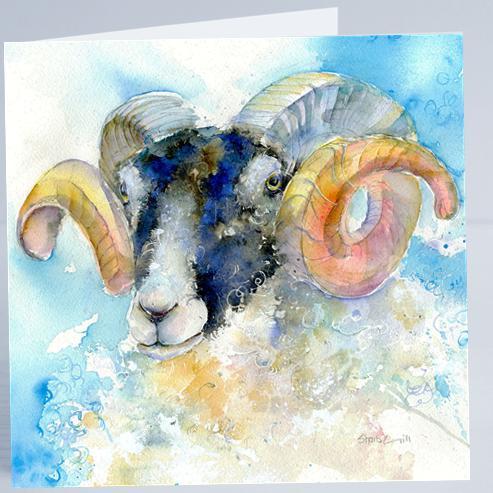Ram Sheep Card-Sheila Gill Fine Art