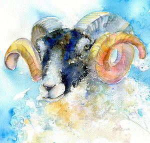 Ram Sheep Card-Sheila Gill Fine Art