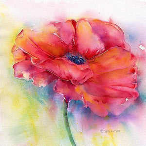 Red Poppy Flower Card-Sheila Gill Fine Art
