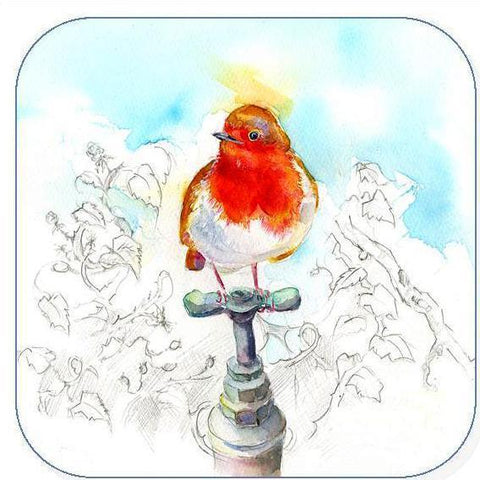 Robin, Bird - Coaster