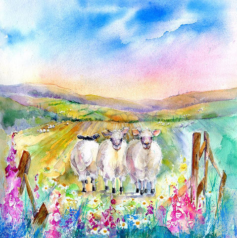 Sheep Card-Sheila Gill Fine Art