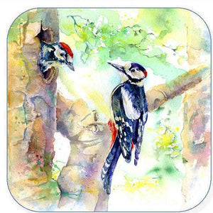 Woodpecker, Bird - Coaster