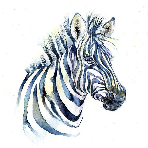 Zebra Card-Sheila Gill Fine Art