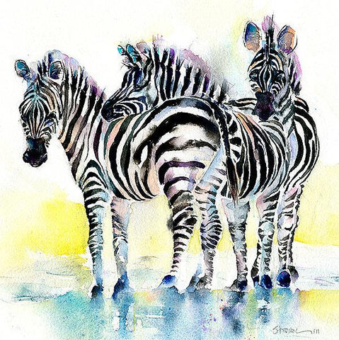 Zebra  Print